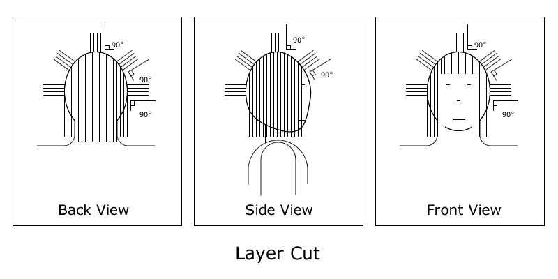 haircutting diagram